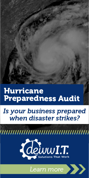 Hurricane Preparedness Audit